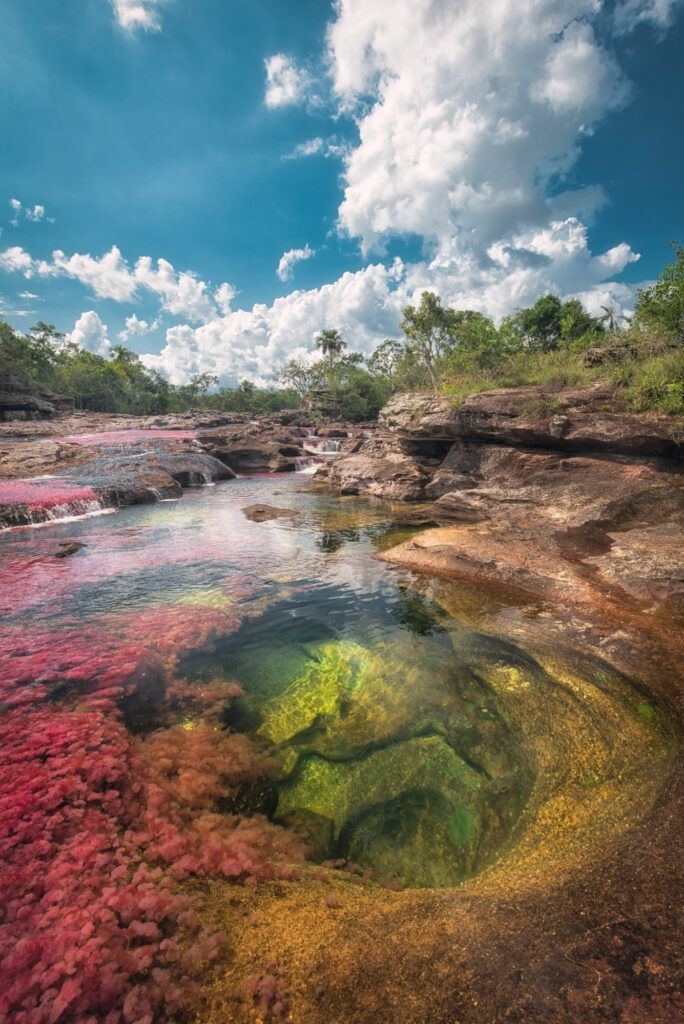 Caño Cristales